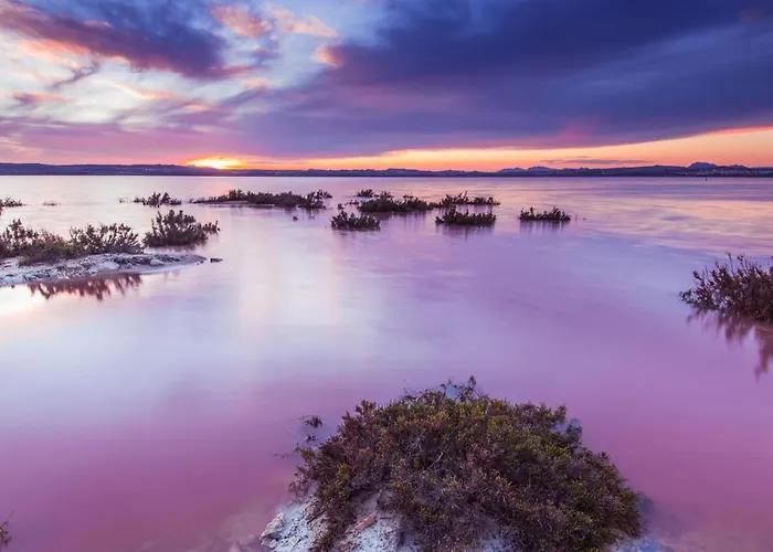 Spacious 3 Bedroom Renovated 500 M From The Beaches *